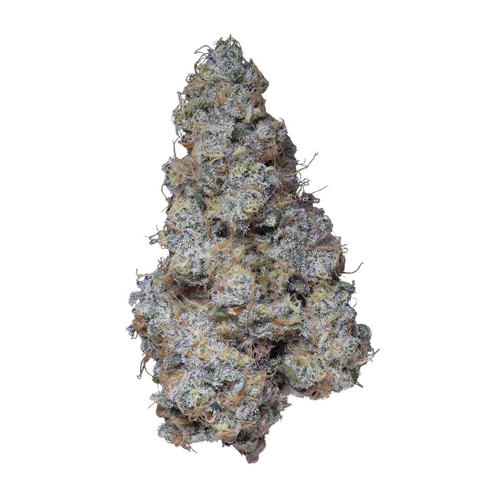 Black Jack cannabis flower