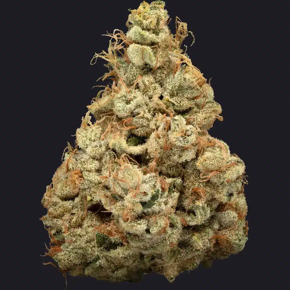 Kingdom Kush cannabis flower