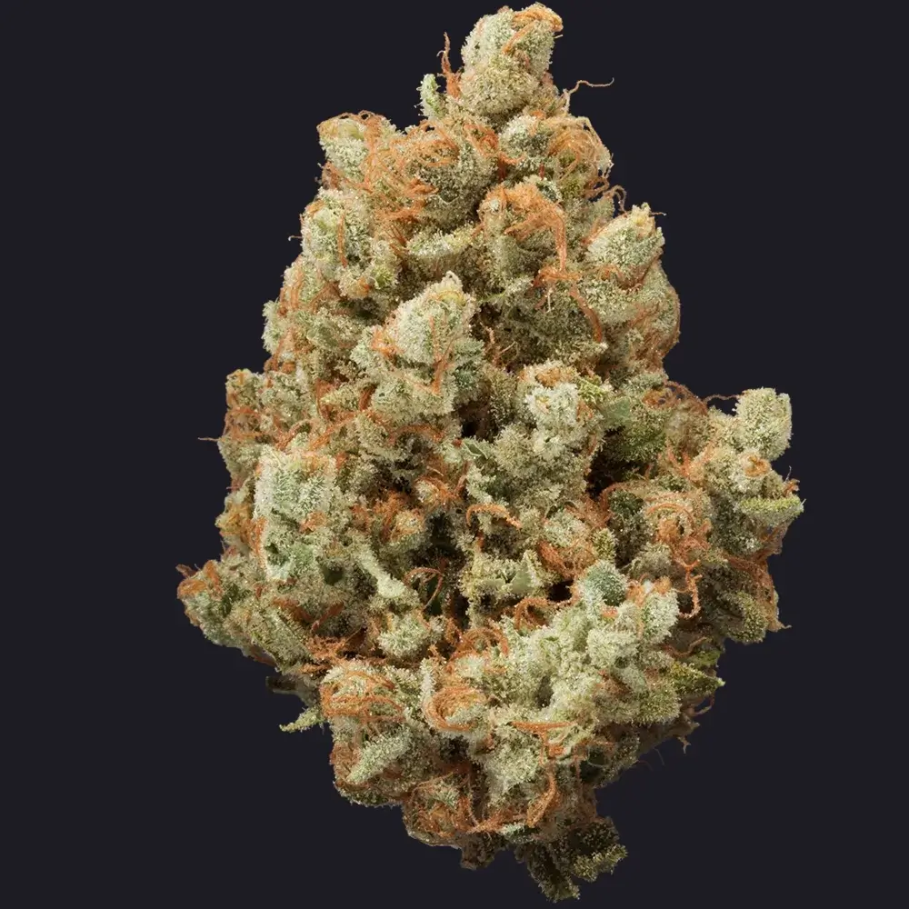 Original Jack cannabis flower